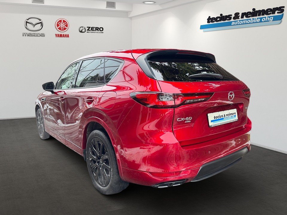 1876276-696dc2d8cacd453231950_05.jpg 1876276-696dc2d8cacd453231950_05.jpg