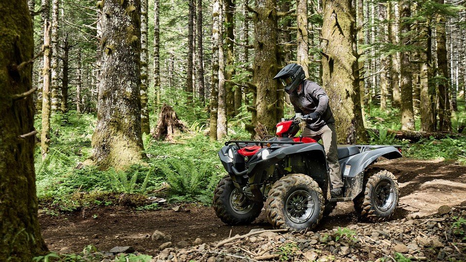 1901225-6979a4ee45dc452626537_06.jpg 1901225-6979a4ee45dc452626537_06.jpg