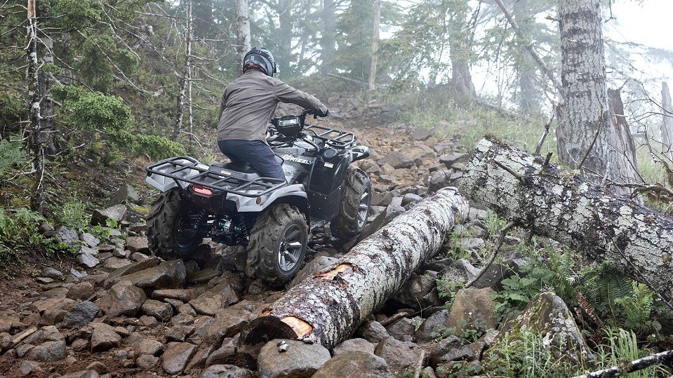 1901256-6979a4fb21cd552626539_06.jpg 1901256-6979a4fb21cd552626539_06.jpg