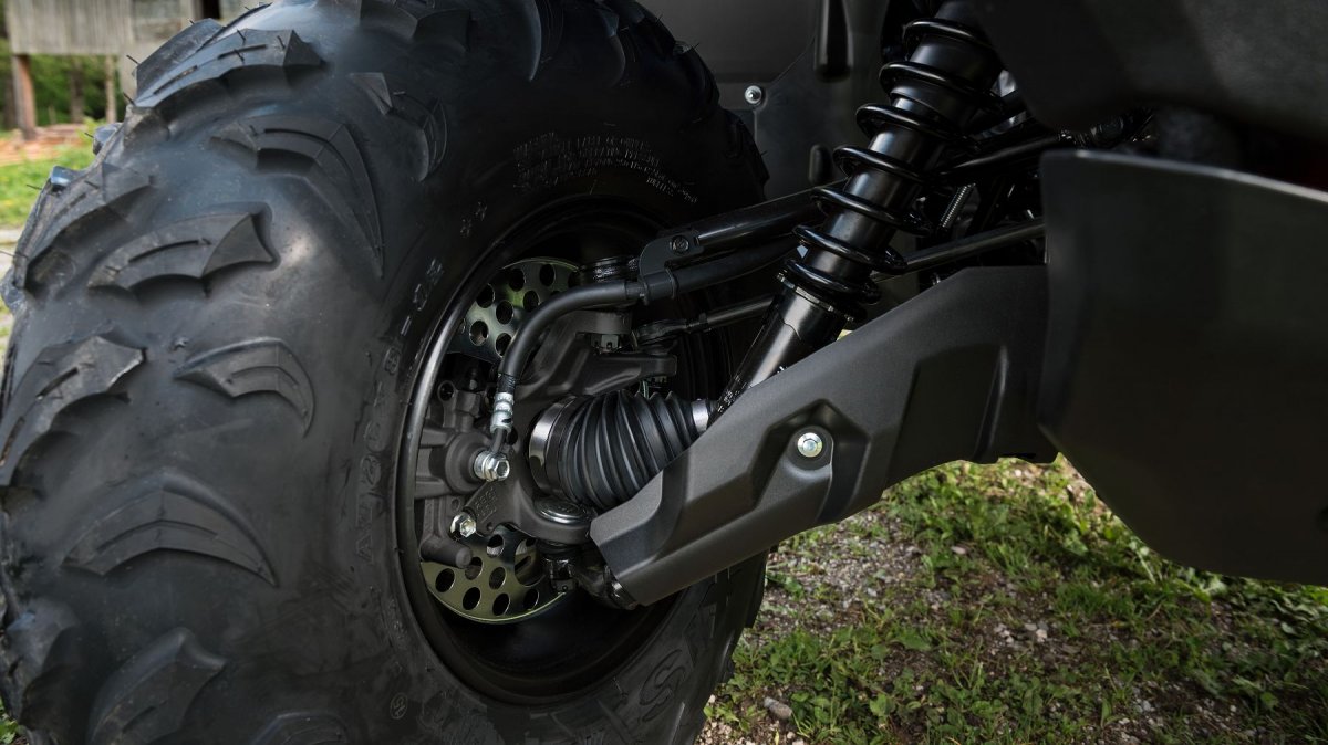 1901256-6979a4fbf140852626539_10.jpg 1901256-6979a4fbf140852626539_10.jpg