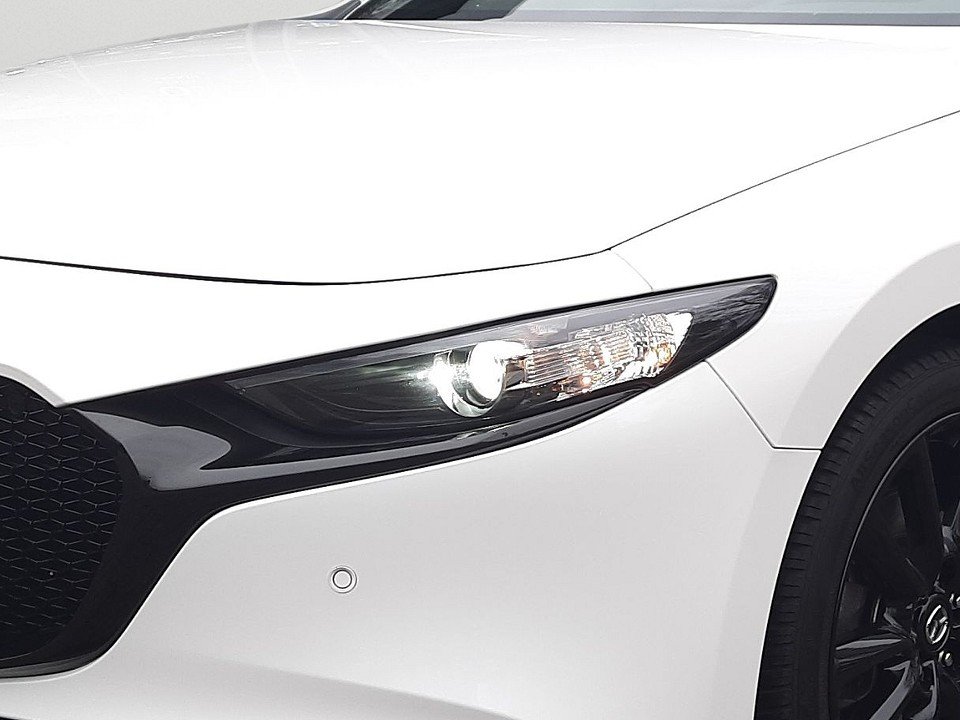 1902252-6979a7f94897253243087_06.jpg 1902252-6979a7f94897253243087_06.jpg